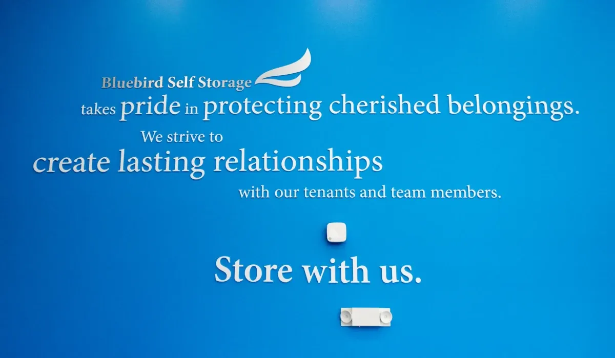 Bluebird Self Storage brand statement wall
