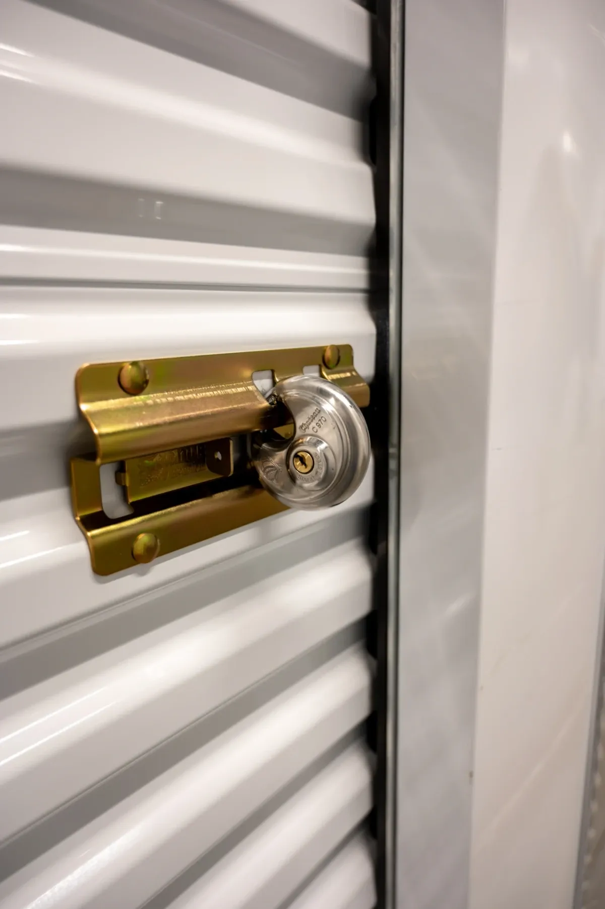 Disc lock securing a storage unit door