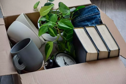 Moving box with mugs, bowls, books, plant, clock and jeans.